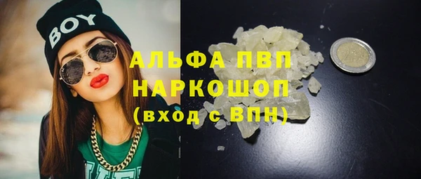 сатива Аркадак