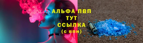 сатива Аркадак