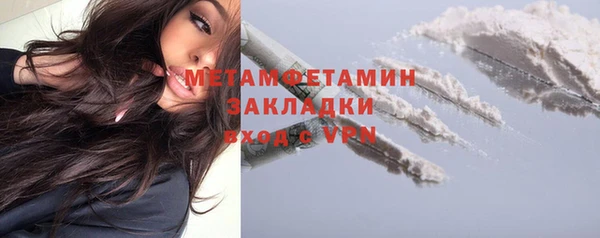 прущие грибы Пересвет