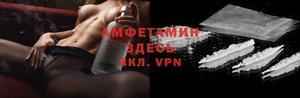 сатива Аркадак