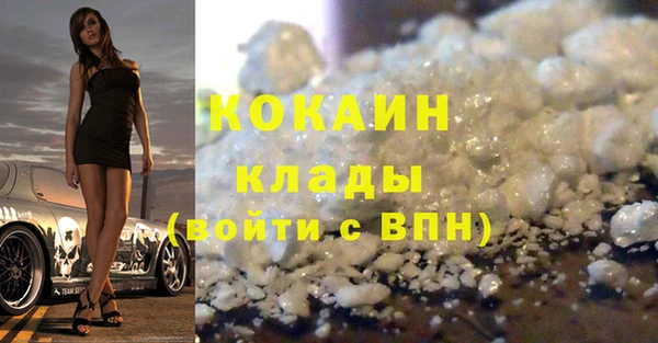 прущие грибы Пересвет