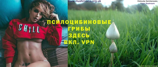 сатива Аркадак