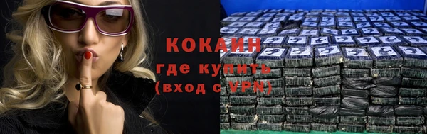 сатива Аркадак