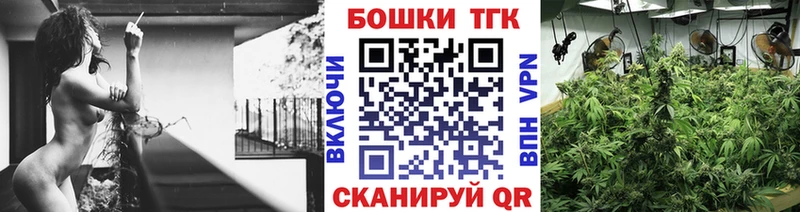 Бошки марихуана сатива omg как зайти Кувандык